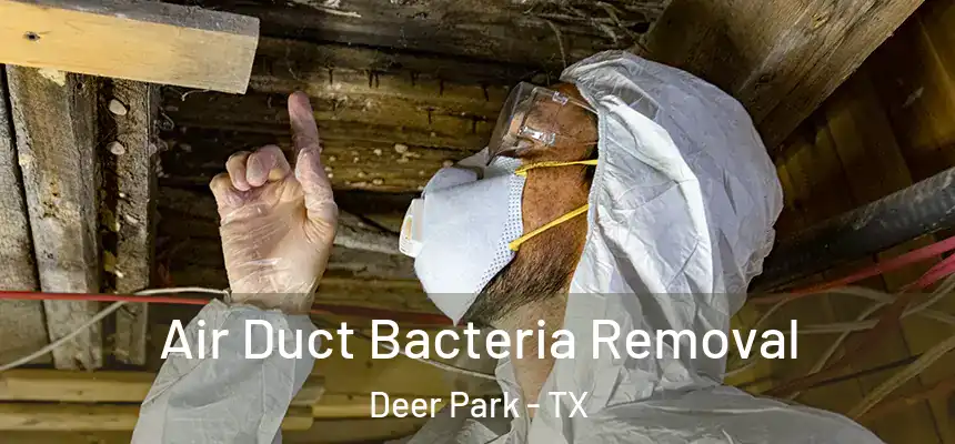  Air Duct Bacteria Removal Deer Park - TX