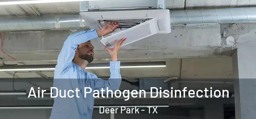 Air Duct Pathogen Disinfection Deer Park - TX