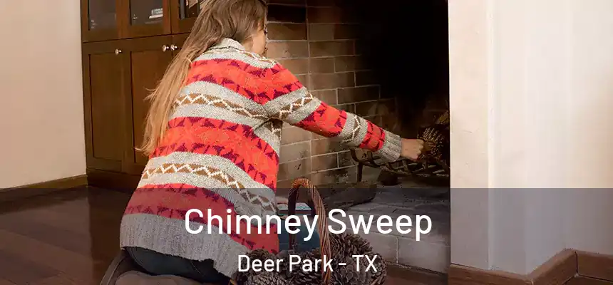  Chimney Sweep Deer Park - TX