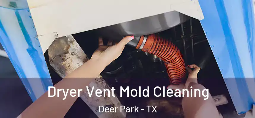  Dryer Vent Mold Cleaning Deer Park - TX