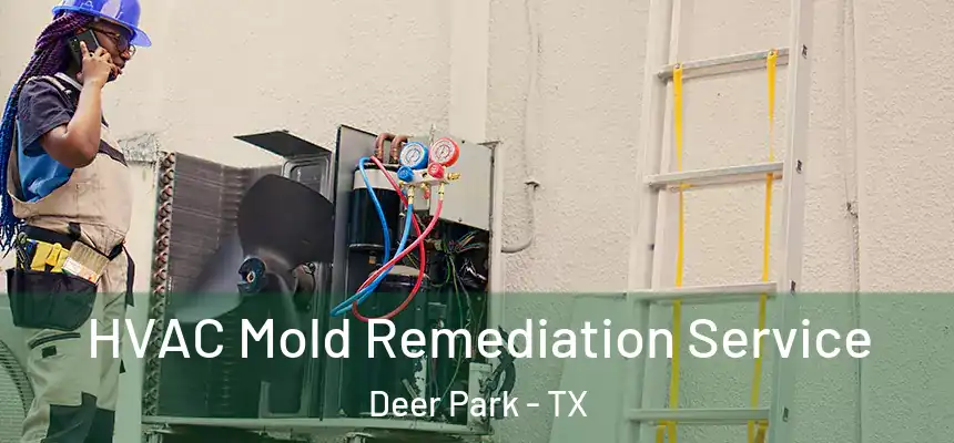  HVAC Mold Remediation Service Deer Park - TX
