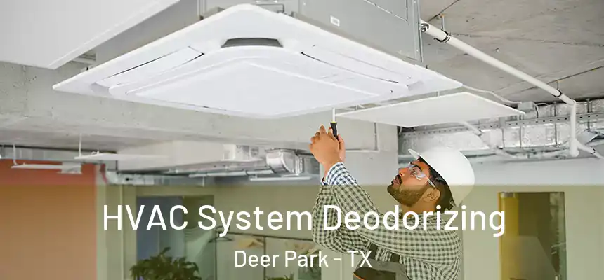 HVAC System Deodorizing Deer Park - TX
