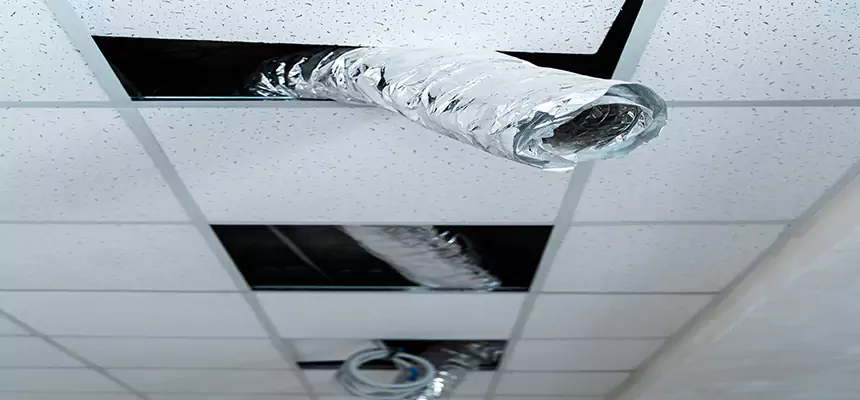 Affordable HVAC Sanitizing After Pest Removal in Deer Park