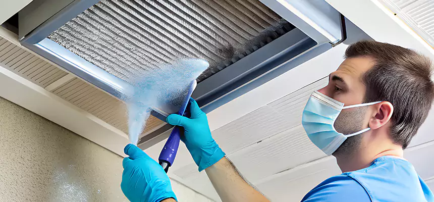 Proactive Dryer Vent & Auxiliary Duct Pollen Cleanup in Deer Park, TX