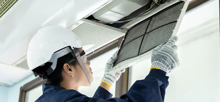 Our Lint Trap Cleaning Service Services in Deer Park, TX