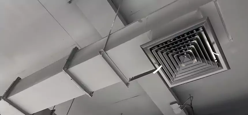 Our Rodent Droppings In Vents Services in Deer Park, TX