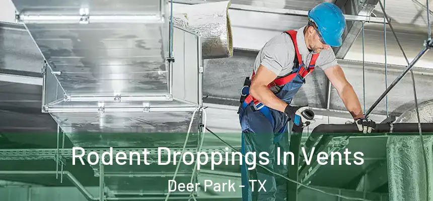  Rodent Droppings In Vents Deer Park - TX
