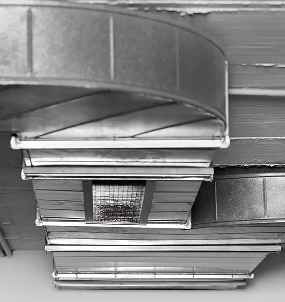 Professional Air Duct Pet Hair Removal in Deer Park, TX