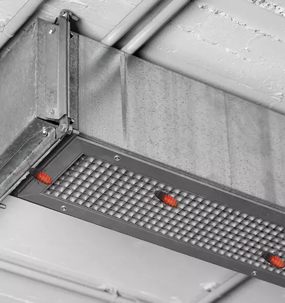 Affordable Insect Removal from Air Ducts in Deer Park, TX