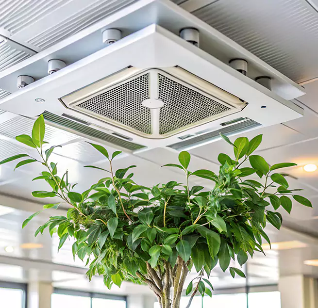 Why Homeowners & Businesses Trust Us in Deer Park, TX?