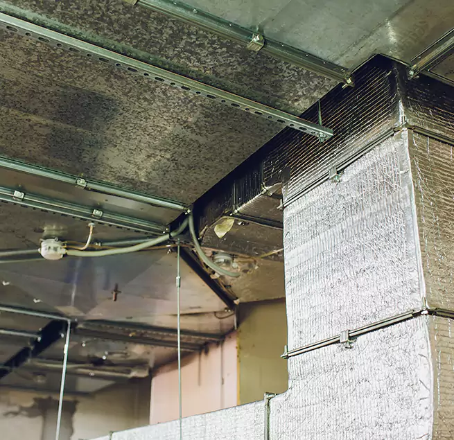 Why Homeowners & Businesses Trust Us in Deer Park, TX?