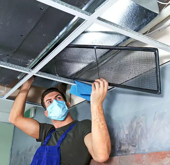 Why Homeowners Businesses Trust Us in Deer Park, TX